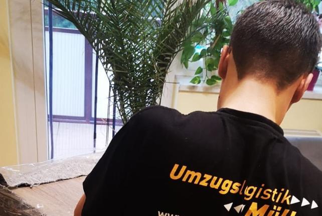 Laborumzug Sehmatal stressfrei umziehen 